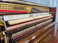 Chuyên Cung Cấp Sỉ Và Lẻ Piano & Guitar Secondhand Nhập Khẩu 100% Từ Nhật - Với Chất Lượng Và Chế Độ Bảo Hành Uy Tín, Nhanh Chóng. Hỗ trợ trả góp từ 0% bằng thẻ tín dụng cho khách hàng.