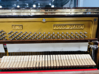 Chuyên Cung Cấp Sỉ Và Lẻ Piano & Guitar Secondhand Nhập Khẩu 100% Từ Nhật - Với Chất Lượng Và Chế Độ Bảo Hành Uy Tín, Nhanh Chóng. Hỗ trợ trả góp từ 0% bằng thẻ tín dụng cho khách hàng.