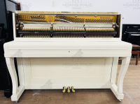 Chuyên Cung Cấp Sỉ Và Lẻ Piano & Guitar Secondhand Nhập Khẩu 100% Từ Nhật - Với Chất Lượng Và Chế Độ Bảo Hành Uy Tín, Nhanh Chóng. Hỗ trợ trả góp từ 0% bằng thẻ tín dụng cho khách hàng.