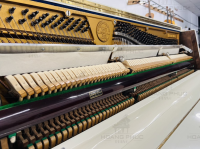 Chuyên Cung Cấp Sỉ Và Lẻ Piano & Guitar Secondhand Nhập Khẩu 100% Từ Nhật - Với Chất Lượng Và Chế Độ Bảo Hành Uy Tín, Nhanh Chóng. Hỗ trợ trả góp từ 0% bằng thẻ tín dụng cho khách hàng.