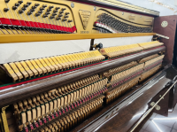 Chuyên Cung Cấp Sỉ Và Lẻ Piano & Guitar Secondhand Nhập Khẩu 100% Từ Nhật - Với Chất Lượng Và Chế Độ Bảo Hành Uy Tín, Nhanh Chóng. Hỗ trợ trả góp từ 0% bằng thẻ tín dụng cho khách hàng.