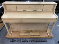 Chuyên Cung Cấp Sỉ Và Lẻ Piano & Guitar Secondhand Nhập Khẩu 100% Từ Nhật - Với Chất Lượng Và Chế Độ Bảo Hành Uy Tín, Nhanh Chóng. Hỗ trợ trả góp từ 0% bằng thẻ tín dụng cho khách hàng.