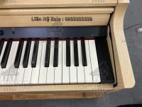 Chuyên Cung Cấp Sỉ Và Lẻ Piano & Guitar Secondhand Nhập Khẩu 100% Từ Nhật - Với Chất Lượng Và Chế Độ Bảo Hành Uy Tín, Nhanh Chóng. Hỗ trợ trả góp từ 0% bằng thẻ tín dụng cho khách hàng.