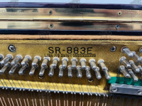 Chuyên Cung Cấp Sỉ Và Lẻ Piano & Guitar Secondhand Nhập Khẩu 100% Từ Nhật - Với Chất Lượng Và Chế Độ Bảo Hành Uy Tín, Nhanh Chóng. Hỗ trợ trả góp từ 0% bằng thẻ tín dụng cho khách hàng.