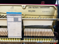 Chuyên Cung Cấp Sỉ Và Lẻ Piano & Guitar Secondhand Nhập Khẩu 100% Từ Nhật - Với Chất Lượng Và Chế Độ Bảo Hành Uy Tín, Nhanh Chóng. Hỗ trợ trả góp từ 0% bằng thẻ tín dụng cho khách hàng.
