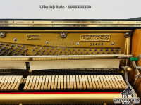 Chuyên Cung Cấp Sỉ Và Lẻ Piano & Guitar Secondhand Nhập Khẩu 100% Từ Nhật - Với Chất Lượng Và Chế Độ Bảo Hành Uy Tín, Nhanh Chóng. Hỗ trợ trả góp từ 0% bằng thẻ tín dụng cho khách hàng.