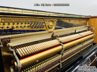Chuyên Cung Cấp Sỉ Và Lẻ Piano & Guitar Secondhand Nhập Khẩu 100% Từ Nhật - Với Chất Lượng Và Chế Độ Bảo Hành Uy Tín, Nhanh Chóng. Hỗ trợ trả góp từ 0% bằng thẻ tín dụng cho khách hàng.