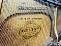 Chuyên Cung Cấp Sỉ Và Lẻ Piano & Guitar Secondhand Nhập Khẩu 100% Từ Nhật - Với Chất Lượng Và Chế Độ Bảo Hành Uy Tín, Nhanh Chóng. Hỗ trợ trả góp từ 0% bằng thẻ tín dụng cho khách hàng.