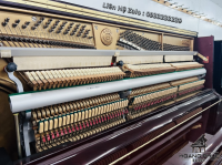 Chuyên Cung Cấp Sỉ Và Lẻ Piano & Guitar Secondhand Nhập Khẩu 100% Từ Nhật - Với Chất Lượng Và Chế Độ Bảo Hành Uy Tín, Nhanh Chóng. Hỗ trợ trả góp từ 0% bằng thẻ tín dụng cho khách hàng.