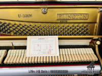 Chuyên Cung Cấp Sỉ Và Lẻ Piano & Guitar Secondhand Nhập Khẩu 100% Từ Nhật - Với Chất Lượng Và Chế Độ Bảo Hành Uy Tín, Nhanh Chóng. Hỗ trợ trả góp từ 0% bằng thẻ tín dụng cho khách hàng.