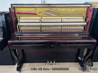 Chuyên Cung Cấp Sỉ Và Lẻ Piano & Guitar Secondhand Nhập Khẩu 100% Từ Nhật - Với Chất Lượng Và Chế Độ Bảo Hành Uy Tín, Nhanh Chóng. Hỗ trợ trả góp từ 0% bằng thẻ tín dụng cho khách hàng.