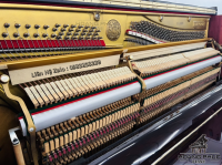 Chuyên Cung Cấp Sỉ Và Lẻ Piano & Guitar Secondhand Nhập Khẩu 100% Từ Nhật - Với Chất Lượng Và Chế Độ Bảo Hành Uy Tín, Nhanh Chóng. Hỗ trợ trả góp từ 0% bằng thẻ tín dụng cho khách hàng.