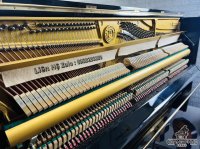 Chuyên Cung Cấp Sỉ Và Lẻ Piano & Guitar Secondhand Nhập Khẩu 100% Từ Nhật - Với Chất Lượng Và Chế Độ Bảo Hành Uy Tín, Nhanh Chóng. Hỗ trợ trả góp từ 0% bằng thẻ tín dụng cho khách hàng.
