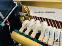 Chuyên Cung Cấp Sỉ Và Lẻ Piano & Guitar Secondhand Nhập Khẩu 100% Từ Nhật - Với Chất Lượng Và Chế Độ Bảo Hành Uy Tín, Nhanh Chóng. Hỗ trợ trả góp từ 0% bằng thẻ tín dụng cho khách hàng.