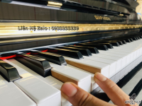 Chuyên Cung Cấp Sỉ Và Lẻ Piano & Guitar Secondhand Nhập Khẩu 100% Từ Nhật - Với Chất Lượng Và Chế Độ Bảo Hành Uy Tín, Nhanh Chóng. Hỗ trợ trả góp từ 0% bằng thẻ tín dụng cho khách hàng.