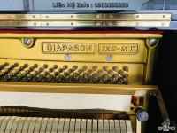 Chuyên Cung Cấp Sỉ Và Lẻ Piano & Guitar Secondhand Nhập Khẩu 100% Từ Nhật - Với Chất Lượng Và Chế Độ Bảo Hành Uy Tín, Nhanh Chóng. Hỗ trợ trả góp từ 0% bằng thẻ tín dụng cho khách hàng.