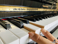 Chuyên Cung Cấp Sỉ Và Lẻ Piano & Guitar Secondhand Nhập Khẩu 100% Từ Nhật - Với Chất Lượng Và Chế Độ Bảo Hành Uy Tín, Nhanh Chóng. Hỗ trợ trả góp từ 0% bằng thẻ tín dụng cho khách hàng.