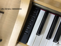 Chuyên Cung Cấp Sỉ Và Lẻ Piano & Guitar Secondhand Nhập Khẩu 100% Từ Nhật - Với Chất Lượng Và Chế Độ Bảo Hành Uy Tín, Nhanh Chóng. Hỗ trợ trả góp từ 0% bằng thẻ tín dụng cho khách hàng.