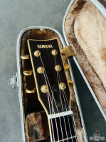 Đàn Guitar Yamaha L10E | Piano Hoàng Phúc