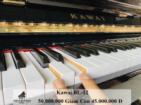 KAWAI BL12