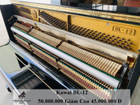 KAWAI BL12
