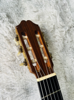 Masaki Sakurai No-10 All Solid ( sx1980 )