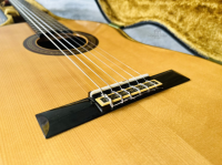 Yamaha GC-5 ( sản xuất 1981 )