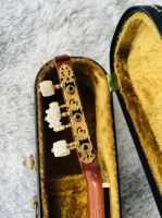 Yamaha GC-5 ( sản xuất 1981 )