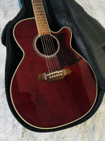 Takamine DMP-512 WR