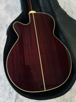 Takamine DMP-512 WR