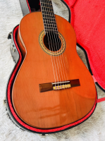 Hiroshi Tamura P80 Jacaranda