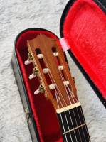 Hiroshi Tamura P80 Jacaranda