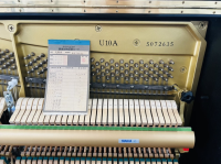 Chuyên Cung Cấp Sỉ Và Lẻ Piano & Guitar Secondhand Nhập Khẩu 100% Từ Nhật - Với Chất Lượng Và Chế Độ Bảo Hành Uy Tín, Nhanh Chóng. Hỗ trợ trả góp từ 0% bằng thẻ tín dụng cho khách hàng.