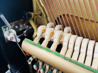 Chuyên Cung Cấp Sỉ Và Lẻ Piano & Guitar Secondhand Nhập Khẩu 100% Từ Nhật - Với Chất Lượng Và Chế Độ Bảo Hành Uy Tín, Nhanh Chóng. Hỗ trợ trả góp từ 0% bằng thẻ tín dụng cho khách hàng.