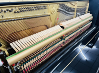 Chuyên Cung Cấp Sỉ Và Lẻ Piano & Guitar Secondhand Nhập Khẩu 100% Từ Nhật - Với Chất Lượng Và Chế Độ Bảo Hành Uy Tín, Nhanh Chóng. Hỗ trợ trả góp từ 0% bằng thẻ tín dụng cho khách hàng.