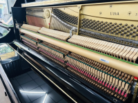 Chuyên Cung Cấp Sỉ Và Lẻ Piano & Guitar Secondhand Nhập Khẩu 100% Từ Nhật - Với Chất Lượng Và Chế Độ Bảo Hành Uy Tín, Nhanh Chóng. Hỗ trợ trả góp từ 0% bằng thẻ tín dụng cho khách hàng.