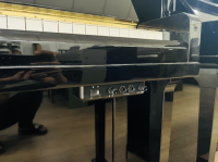 Chuyên Cung Cấp Sỉ Và Lẻ Piano & Guitar Secondhand Nhập Khẩu 100% Từ Nhật - Với Chất Lượng Và Chế Độ Bảo Hành Uy Tín, Nhanh Chóng. Hỗ trợ trả góp từ 0% bằng thẻ tín dụng cho khách hàng.