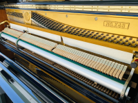 Chuyên Cung Cấp Sỉ Và Lẻ Piano & Guitar Secondhand Nhập Khẩu 100% Từ Nhật - Với Chất Lượng Và Chế Độ Bảo Hành Uy Tín, Nhanh Chóng. Hỗ trợ trả góp từ 0% bằng thẻ tín dụng cho khách hàng.