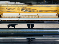 Chuyên Cung Cấp Sỉ Và Lẻ Piano & Guitar Secondhand Nhập Khẩu 100% Từ Nhật - Với Chất Lượng Và Chế Độ Bảo Hành Uy Tín, Nhanh Chóng. Hỗ trợ trả góp từ 0% bằng thẻ tín dụng cho khách hàng.