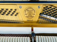 Chuyên Cung Cấp Sỉ Và Lẻ Piano & Guitar Secondhand Nhập Khẩu 100% Từ Nhật - Với Chất Lượng Và Chế Độ Bảo Hành Uy Tín, Nhanh Chóng. Hỗ trợ trả góp từ 0% bằng thẻ tín dụng cho khách hàng.