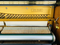 Chuyên Cung Cấp Sỉ Và Lẻ Piano & Guitar Secondhand Nhập Khẩu 100% Từ Nhật - Với Chất Lượng Và Chế Độ Bảo Hành Uy Tín, Nhanh Chóng. Hỗ trợ trả góp từ 0% bằng thẻ tín dụng cho khách hàng.