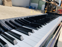 Chuyên Cung Cấp Sỉ Và Lẻ Piano & Guitar Secondhand Nhập Khẩu 100% Từ Nhật - Với Chất Lượng Và Chế Độ Bảo Hành Uy Tín, Nhanh Chóng. Hỗ trợ trả góp từ 0% bằng thẻ tín dụng cho khách hàng.