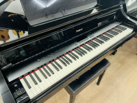 Chuyên Cung Cấp Sỉ Và Lẻ Piano & Guitar Secondhand Nhập Khẩu 100% Từ Nhật - Với Chất Lượng Và Chế Độ Bảo Hành Uy Tín, Nhanh Chóng. Hỗ trợ trả góp từ 0% bằng thẻ tín dụng cho khách hàng.