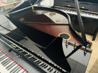 Chuyên Cung Cấp Sỉ Và Lẻ Piano & Guitar Secondhand Nhập Khẩu 100% Từ Nhật - Với Chất Lượng Và Chế Độ Bảo Hành Uy Tín, Nhanh Chóng. Hỗ trợ trả góp từ 0% bằng thẻ tín dụng cho khách hàng.