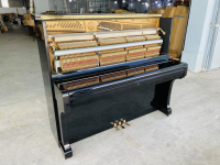 Chuyên Cung Cấp Sỉ Và Lẻ Piano & Guitar Secondhand Nhập Khẩu 100% Từ Nhật - Với Chất Lượng Và Chế Độ Bảo Hành Uy Tín, Nhanh Chóng. Hỗ trợ trả góp từ 0% bằng thẻ tín dụng cho khách hàng.