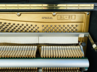 Chuyên Cung Cấp Sỉ Và Lẻ Piano & Guitar Secondhand Nhập Khẩu 100% Từ Nhật - Với Chất Lượng Và Chế Độ Bảo Hành Uy Tín, Nhanh Chóng. Hỗ trợ trả góp từ 0% bằng thẻ tín dụng cho khách hàng.