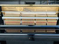 Chuyên Cung Cấp Sỉ Và Lẻ Piano & Guitar Secondhand Nhập Khẩu 100% Từ Nhật - Với Chất Lượng Và Chế Độ Bảo Hành Uy Tín, Nhanh Chóng. Hỗ trợ trả góp từ 0% bằng thẻ tín dụng cho khách hàng.