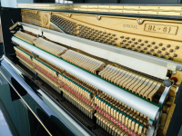 Chuyên Cung Cấp Sỉ Và Lẻ Piano & Guitar Secondhand Nhập Khẩu 100% Từ Nhật - Với Chất Lượng Và Chế Độ Bảo Hành Uy Tín, Nhanh Chóng. Hỗ trợ trả góp từ 0% bằng thẻ tín dụng cho khách hàng.