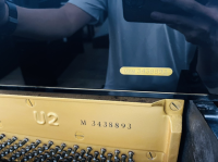 Chuyên Cung Cấp Sỉ Và Lẻ Piano & Guitar Secondhand Nhập Khẩu 100% Từ Nhật - Với Chất Lượng Và Chế Độ Bảo Hành Uy Tín, Nhanh Chóng. Hỗ trợ trả góp từ 0% bằng thẻ tín dụng cho khách hàng.