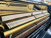 Chuyên Cung Cấp Sỉ Và Lẻ Piano & Guitar Secondhand Nhập Khẩu 100% Từ Nhật - Với Chất Lượng Và Chế Độ Bảo Hành Uy Tín, Nhanh Chóng. Hỗ trợ trả góp từ 0% bằng thẻ tín dụng cho khách hàng.